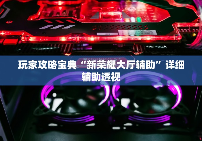 玩家攻略宝典“新荣耀大厅辅助”详细辅助透视