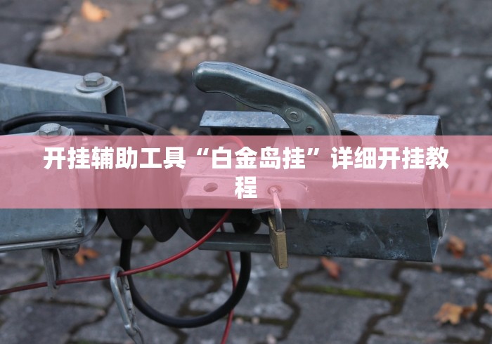 开挂辅助工具“白金岛挂”详细开挂教程 开挂辅助工具“白金岛挂”详细开挂教程