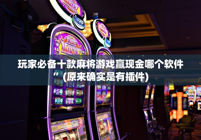 玩家必备十款麻将游戏赢现金哪个软件”(原来确实是有插件)