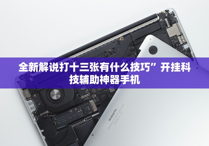 全新解说打十三张有什么技巧”开挂科技辅助神器手机