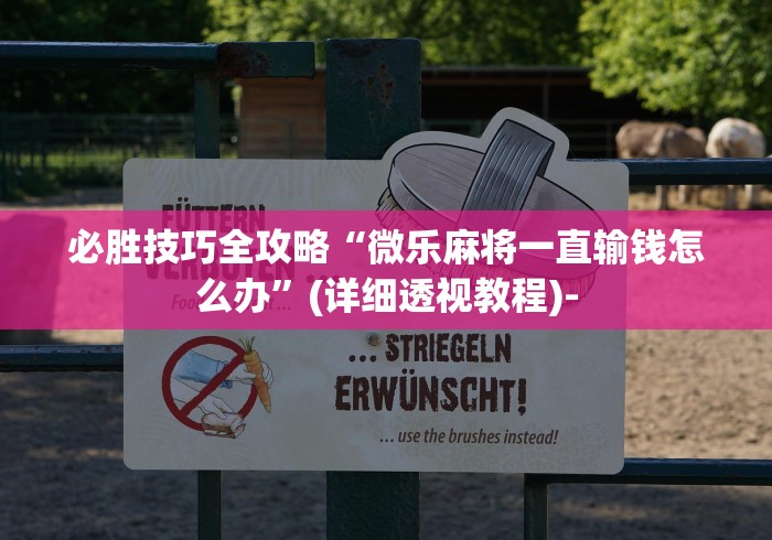 必胜技巧全攻略“微乐麻将一直输钱怎么办”(详细透视教程)-