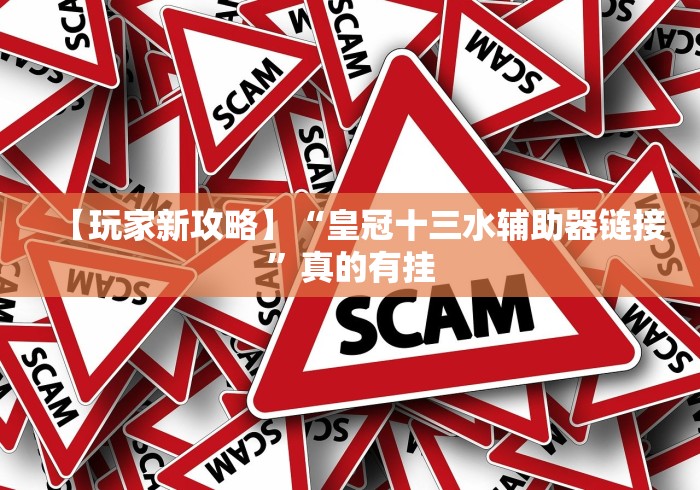 【玩家新攻略】“皇冠十三水辅助器链接”真的有挂