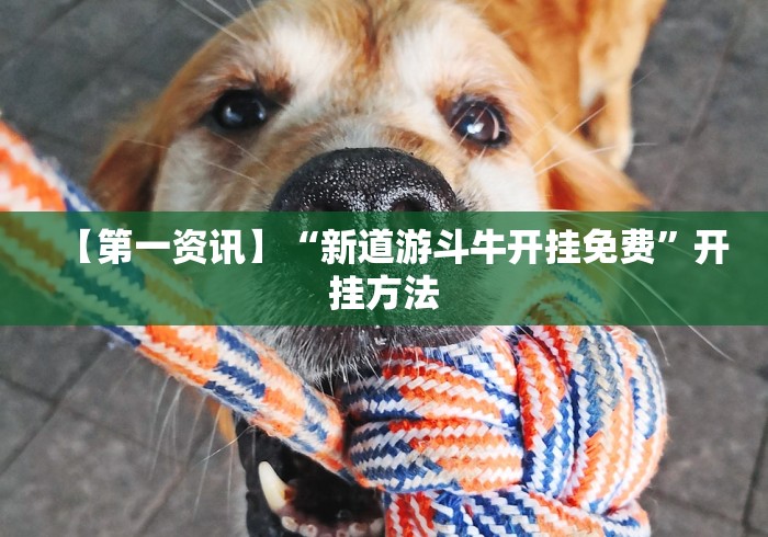 【第一资讯】“新道游斗牛开挂免费”开挂方法
