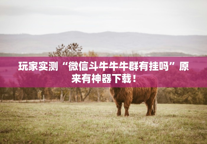 玩家实测“微信斗牛牛牛群有挂吗”原来有神器下载! 玩家实测“微信斗牛牛牛群有挂吗”原来有神器下载!