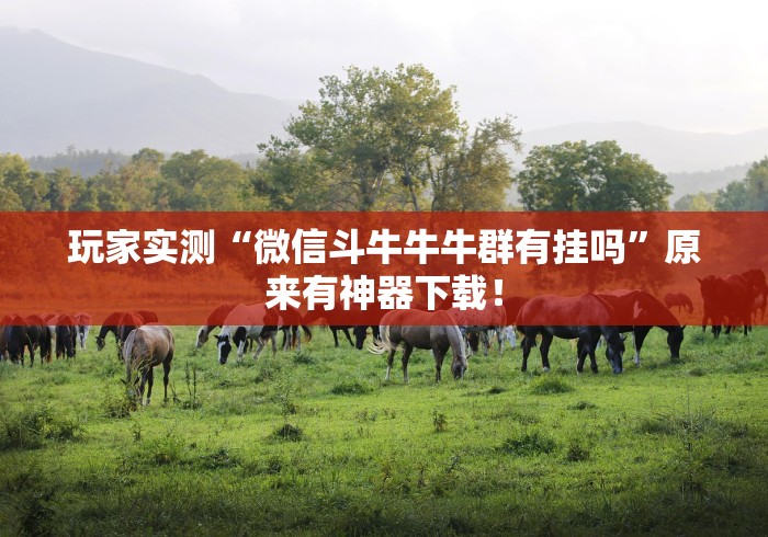 玩家实测“微信斗牛牛牛群有挂吗”原来有神器下载! 玩家实测“微信斗牛牛牛群有挂吗”原来有神器下载!