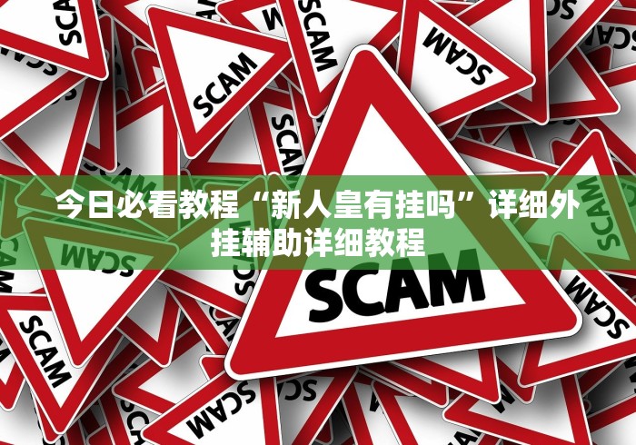 今日必看教程“新人皇有挂吗”详细外挂辅助详细教程