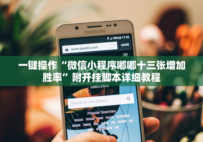 一键操作“微信小程序嘟嘟十三张增加胜率”附开挂脚本详细教程