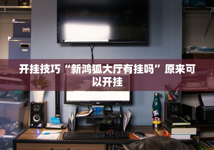 开挂技巧“新鸿狐大厅有挂吗”原来可以开挂