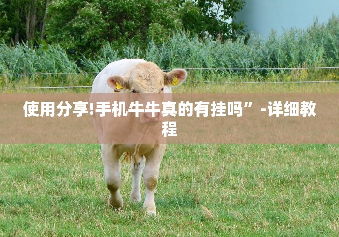 使用分享!手机牛牛真的有挂吗	”-详细教程