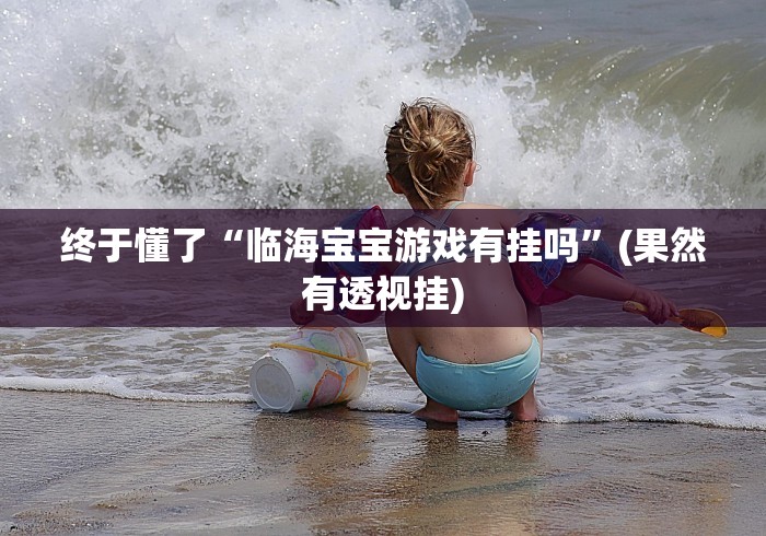 终于懂了“临海宝宝游戏有挂吗”(果然有透视挂)
