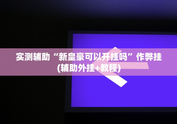 实测辅助“新皇豪可以开挂吗”作弊挂(辅助外挂+教程)