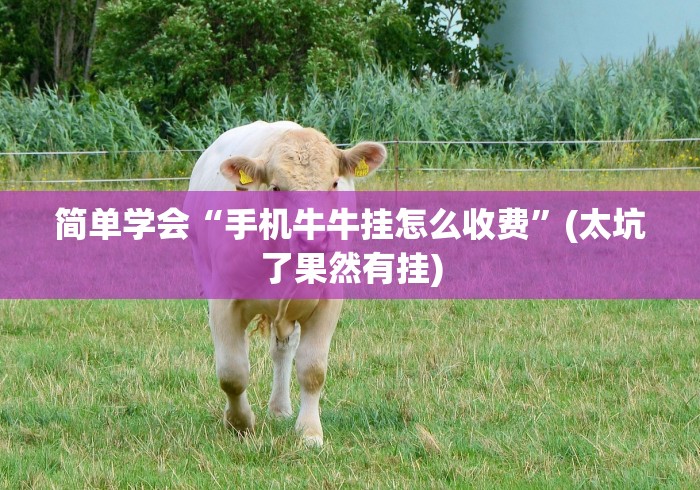 简单学会“手机牛牛挂怎么收费	”(太坑了果然有挂)