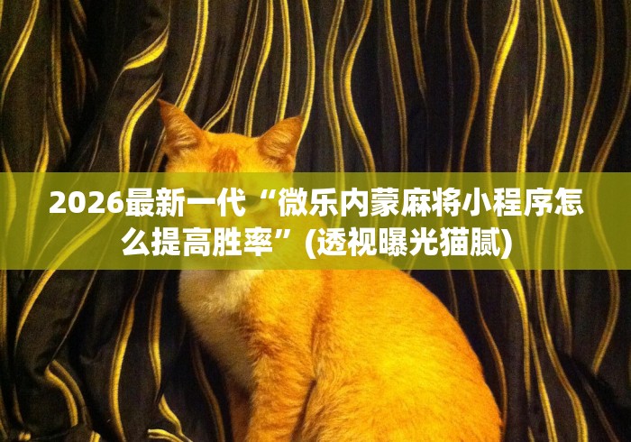 2026最新一代“微乐内蒙麻将小程序怎么提高胜率”(透视曝光猫腻)