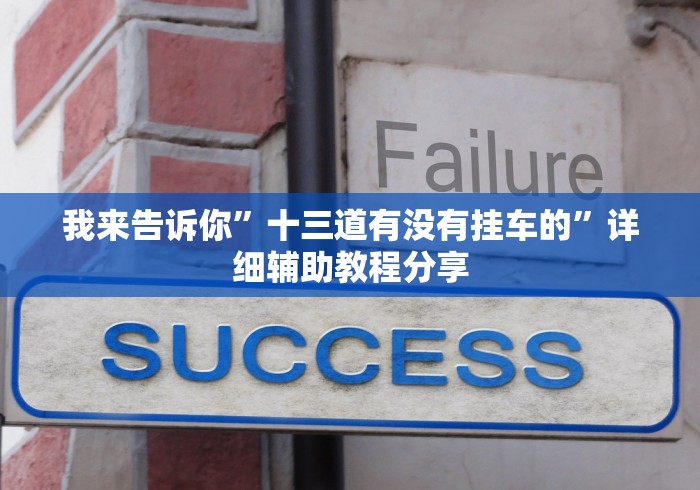 我来告诉你	”十三道有没有挂车的”详细辅助教程分享