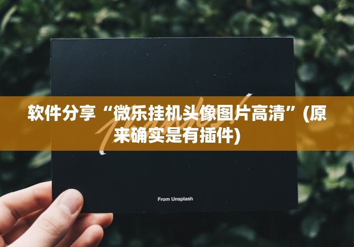 软件分享“微乐挂机头像图片高清”(原来确实是有插件)