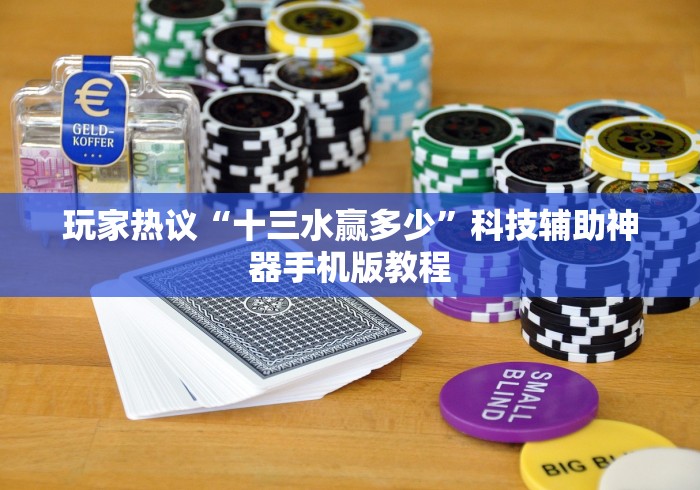 玩家热议“十三水赢多少”科技辅助神器手机版教程