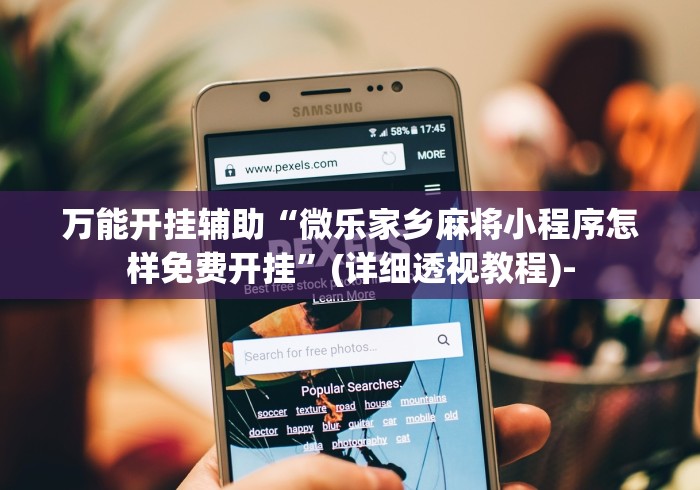 万能开挂辅助“微乐家乡麻将小程序怎样免费开挂”(详细透视教程)-