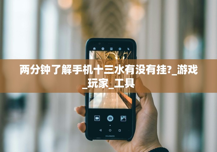 两分钟了解手机十三水有没有挂?_游戏_玩家_工具