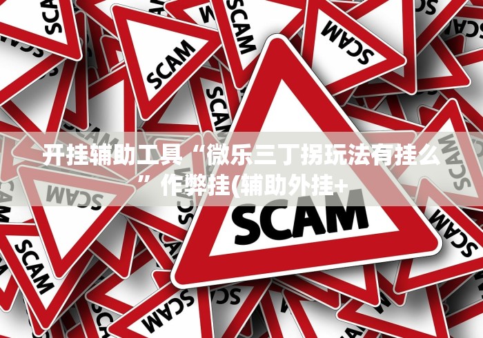 开挂辅助工具“微乐三丁拐玩法有挂么”作弊挂(辅助外挂+