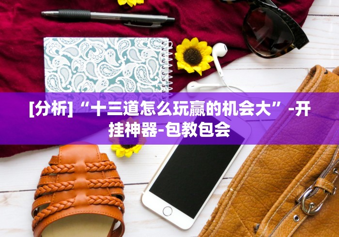 [分析]“十三道怎么玩赢的机会大”-开挂神器-包教包会