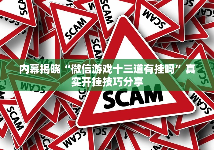 内幕揭晓“微信游戏十三道有挂吗	”真实开挂技巧分享