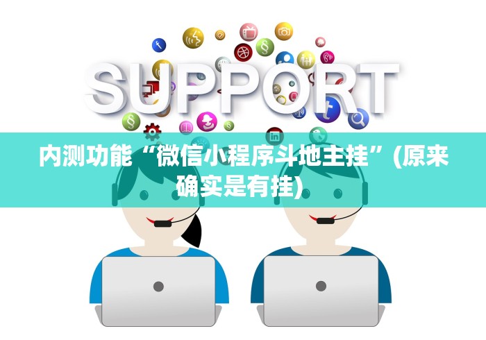 内测功能“微信小程序斗地主挂	”(原来确实是有挂) 