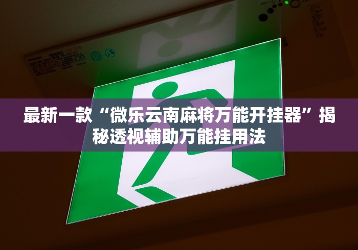 最新一款“微乐云南麻将万能开挂器”揭秘透视辅助万能挂用法