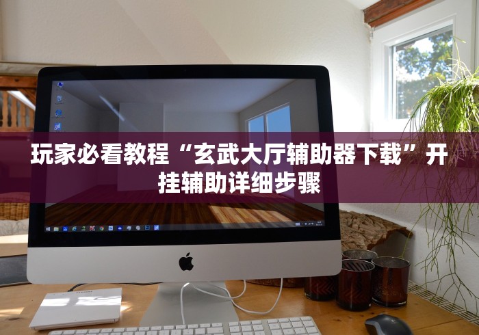 玩家必看教程“玄武大厅辅助器下载”开挂辅助详细步骤