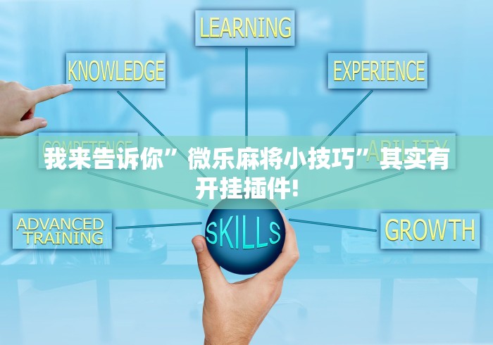 我来告诉你”微乐麻将小技巧	”其实有开挂插件!