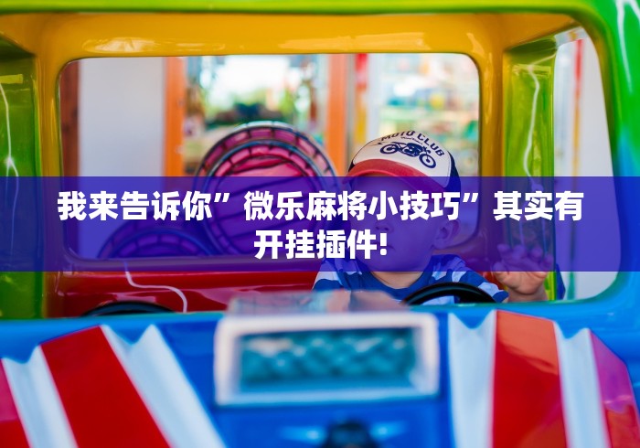 我来告诉你	”微乐麻将小技巧”其实有开挂插件!