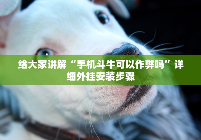 给大家讲解“手机斗牛可以作弊吗”详细外挂安装步骤