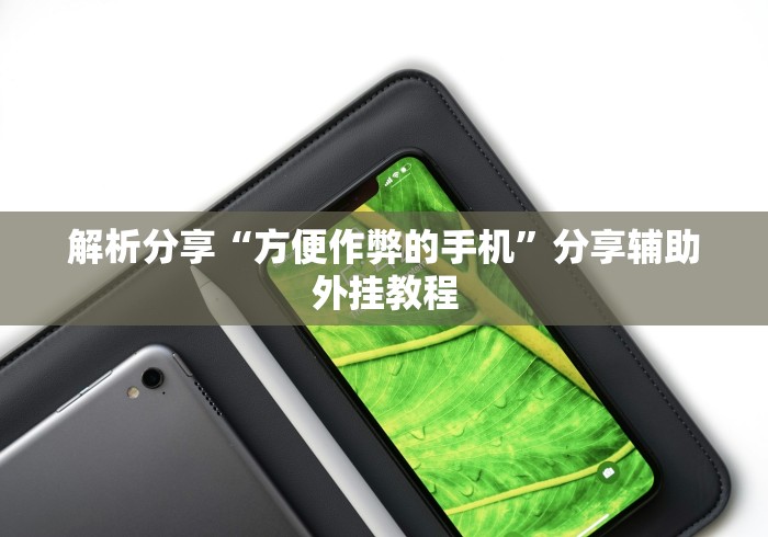 解析分享“方便作弊的手机	”分享辅助外挂教程