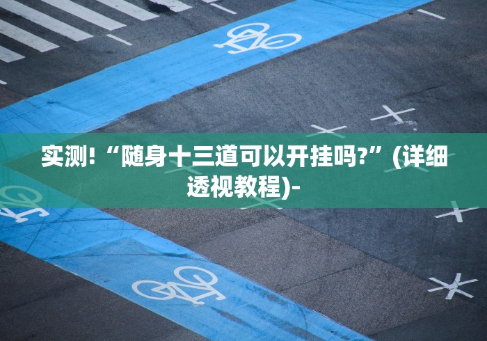 实测!“随身十三道可以开挂吗?”(详细透视教程)-