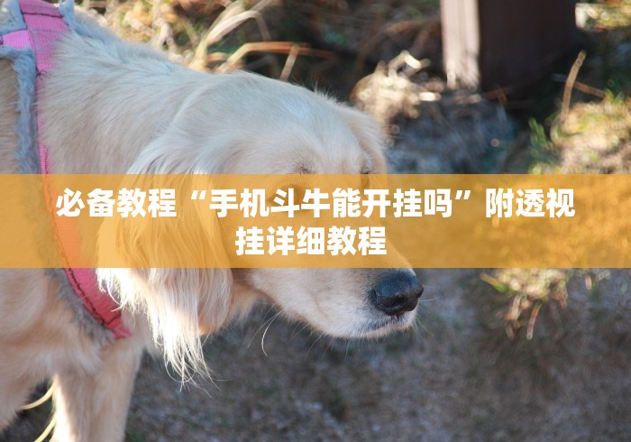 必备教程“手机斗牛能开挂吗	”附透视挂详细教程 