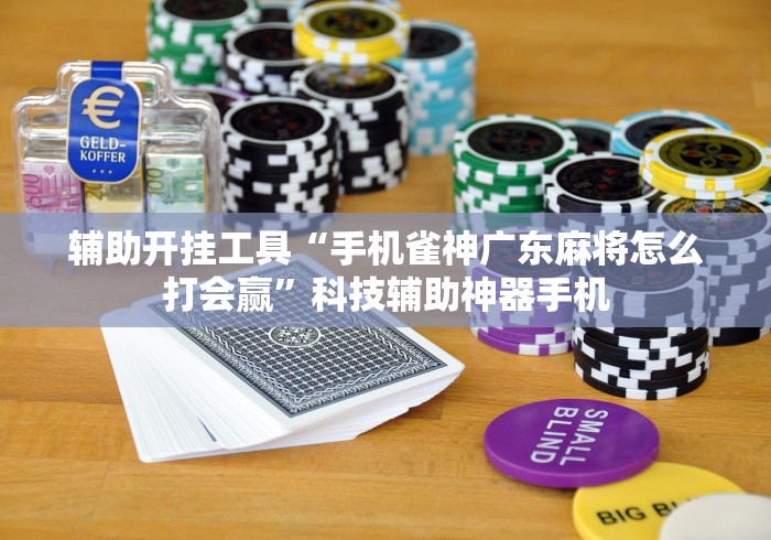 辅助开挂工具“手机雀神广东麻将怎么打会赢”科技辅助神器手机