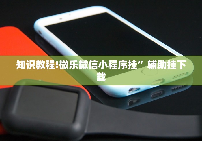 知识教程!微乐微信小程序挂”辅助挂下载