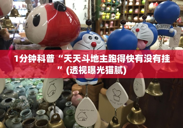 1分钟科普“天天斗地主跑得快有没有挂”(透视曝光猫腻)