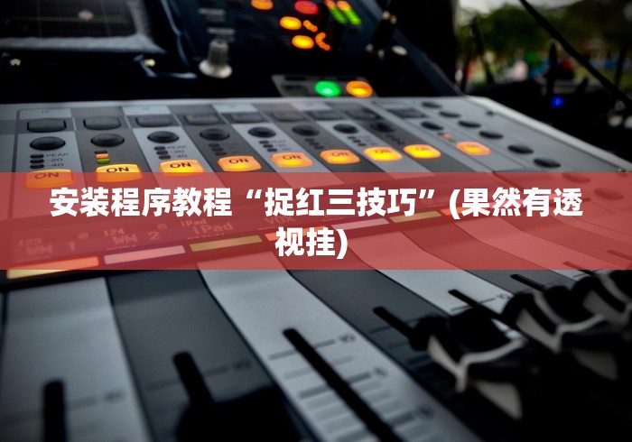 安装程序教程“捉红三技巧	”(果然有透视挂) 