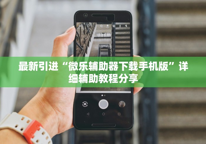 最新引进“微乐辅助器下载手机版”详细辅助教程分享