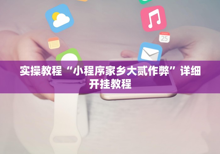 实操教程“小程序家乡大贰作弊”详细开挂教程