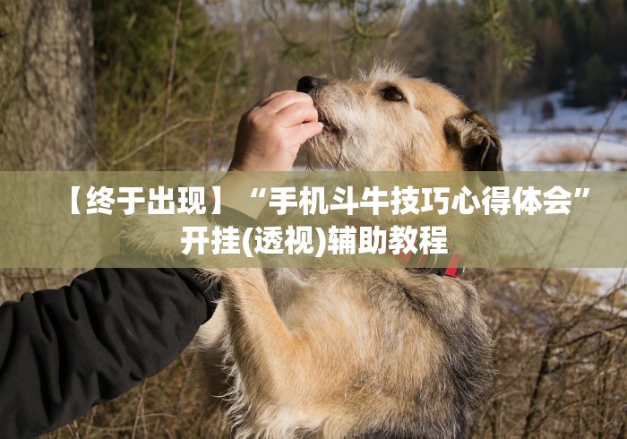 【终于出现】“手机斗牛技巧心得体会”开挂(透视)辅助教程