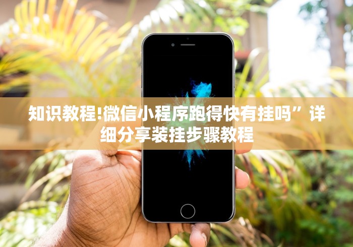 知识教程!微信小程序跑得快有挂吗”详细分享装挂步骤教程
