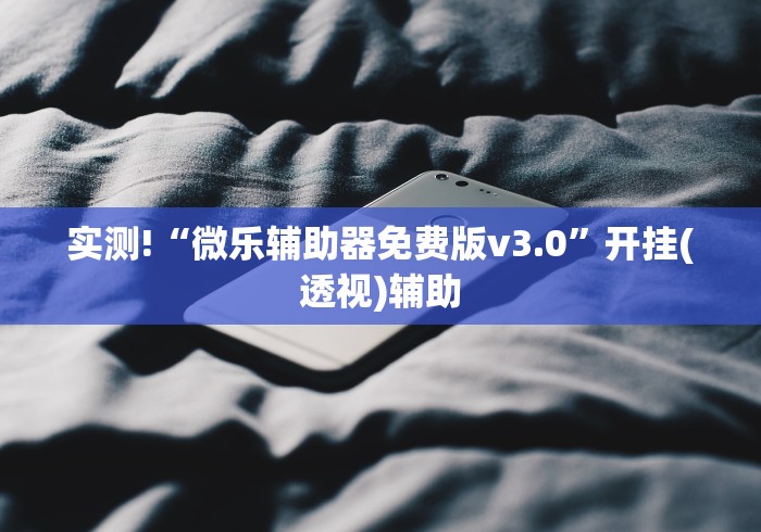 实测!“微乐辅助器免费版v3.0”开挂(透视)辅助