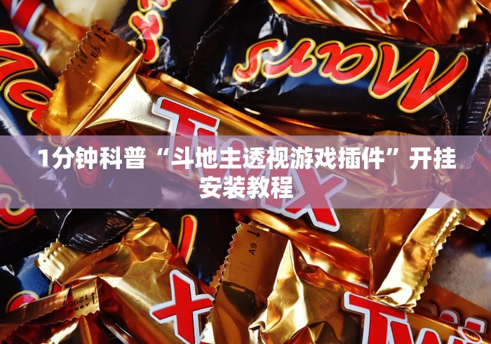 1分钟科普“斗地主透视游戏插件”开挂安装教程
