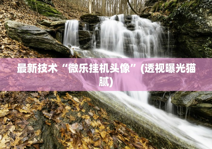 最新技术“微乐挂机头像”(透视曝光猫腻)