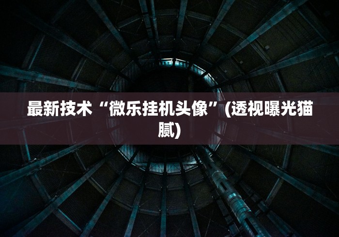 最新技术“微乐挂机头像	”(透视曝光猫腻)