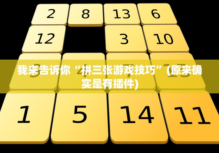 我来告诉你“拼三张游戏技巧	”(原来确实是有插件)