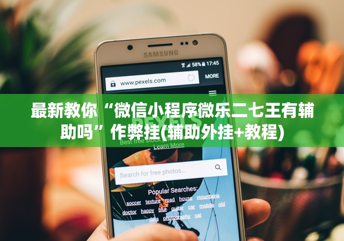 最新教你“微信小程序微乐二七王有辅助吗	”作弊挂(辅助外挂+教程)