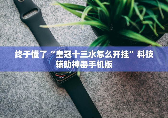 终于懂了“皇冠十三水怎么开挂”科技辅助神器手机版