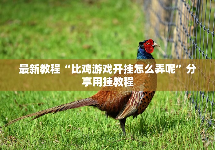 最新教程“比鸡游戏开挂怎么弄呢”分享用挂教程